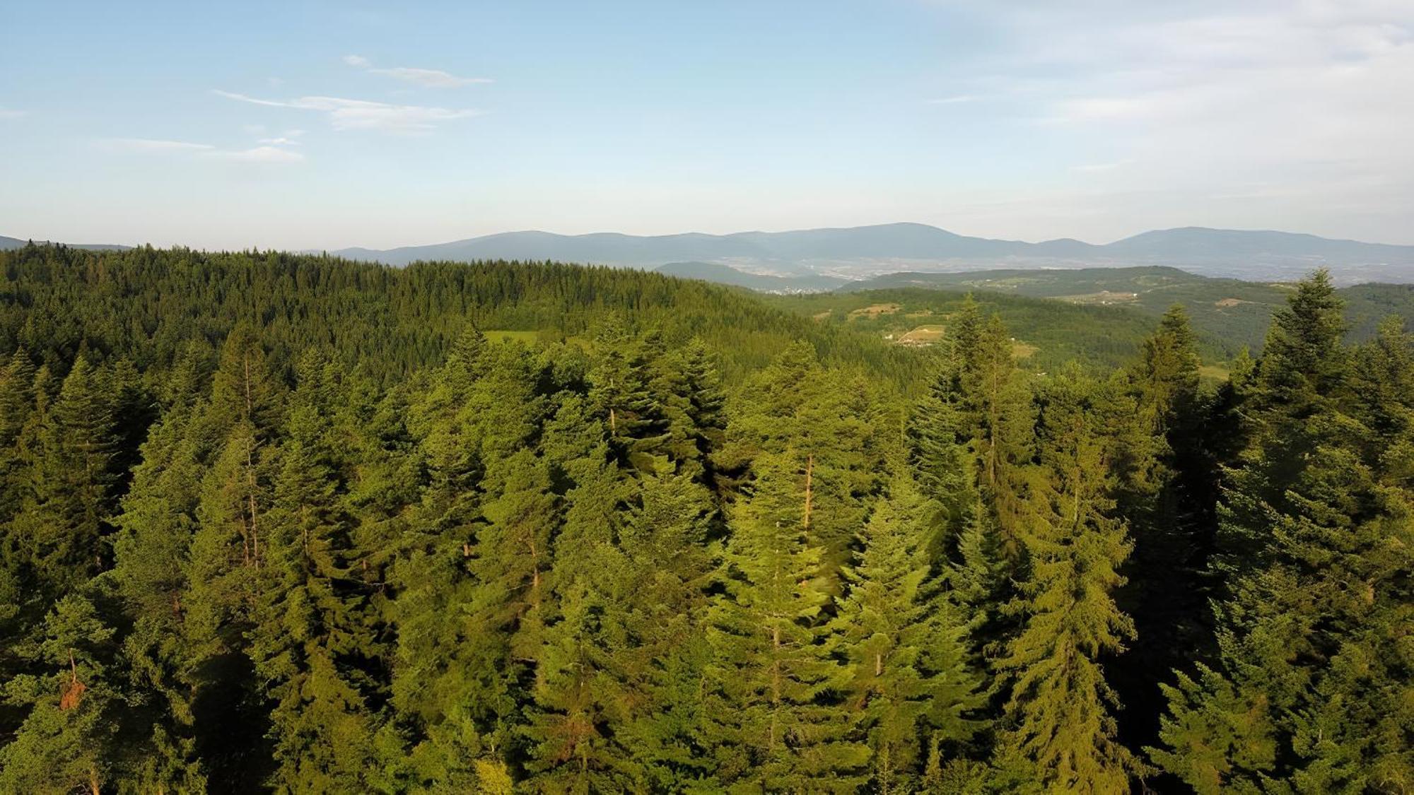 Przystanek Madejowa Jeleśnia Exterior foto