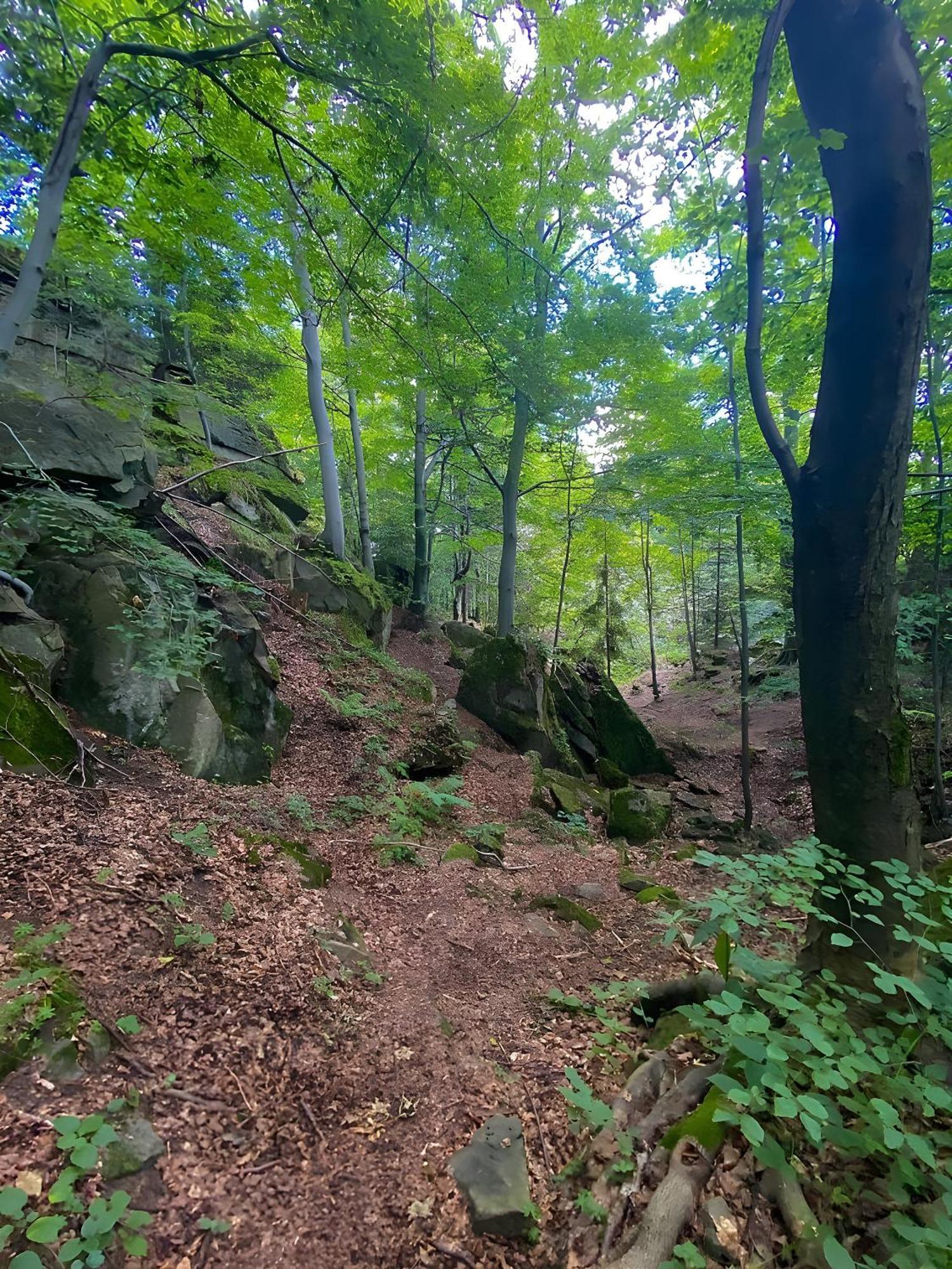 Przystanek Madejowa Jeleśnia Exterior foto
