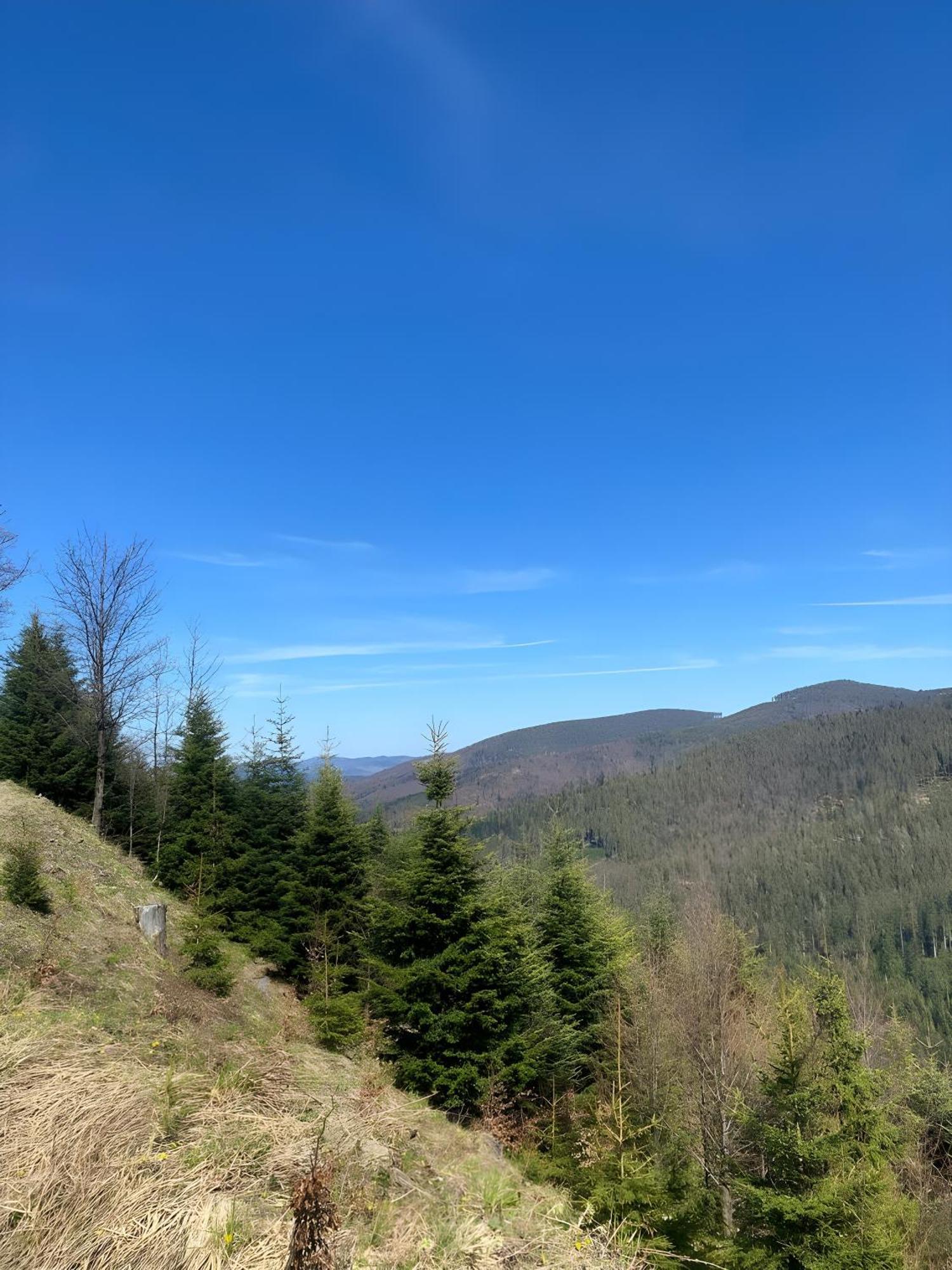Przystanek Madejowa Jeleśnia Exterior foto