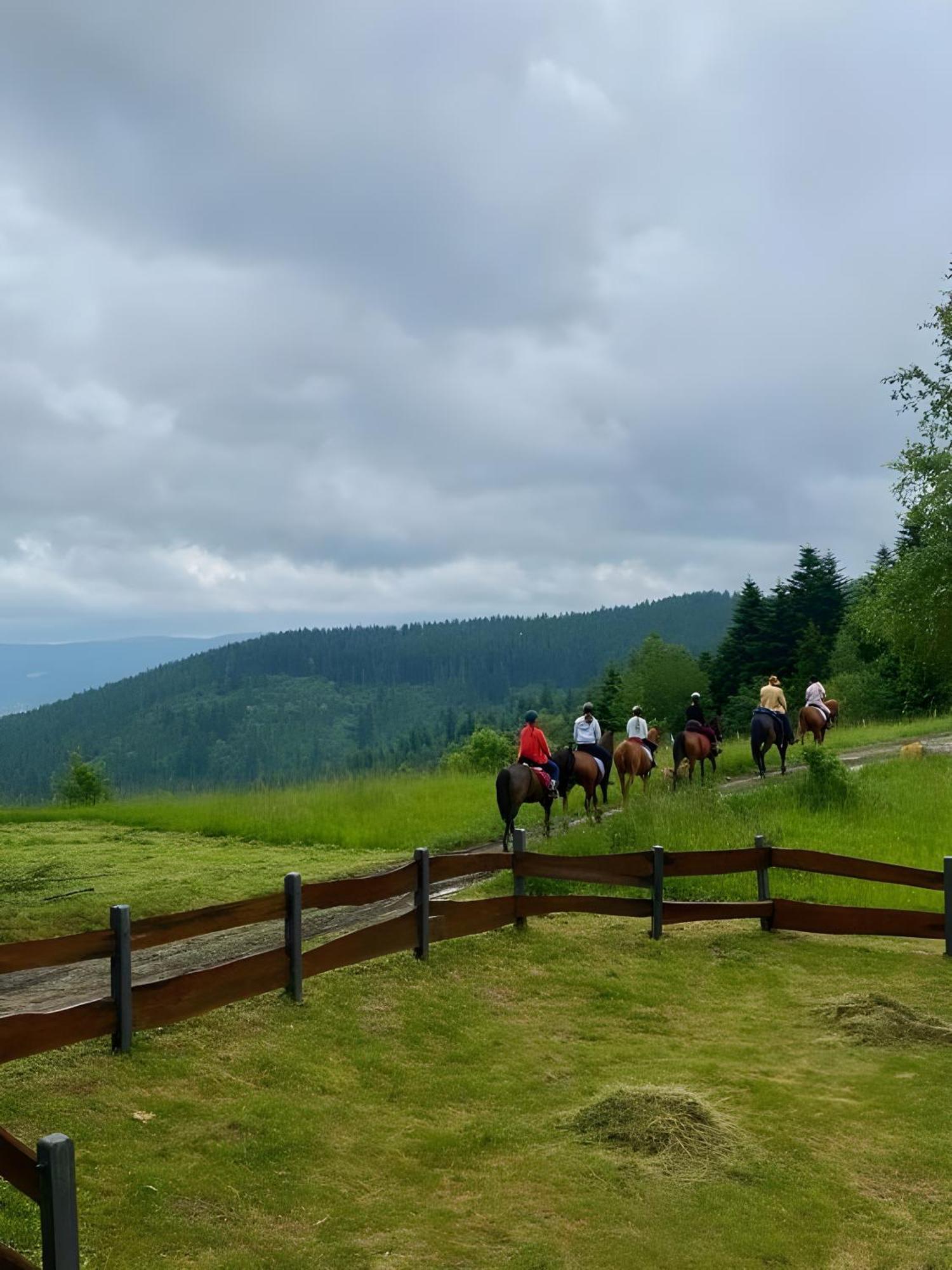 Przystanek Madejowa Jeleśnia Exterior foto